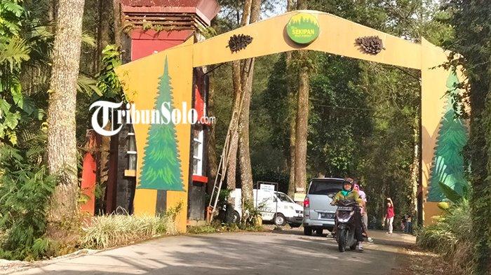 Penampakan Bumi Perkemahan Sekipan di Kawasan Hutan Lawu, Kalisoro, Tawangmangu, Kabupaten Karanganyar, Minggu (23/4/2023).