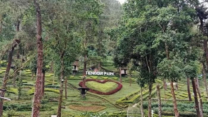 WISATA DI KARANGANYAR - Sudut taman di Tenggir Park berlokasi di Tambak, Berjo, Kecamatan Ngargoyoso, Kabupaten Karanganyar, Jawa Tengah