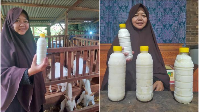 SUSU KAMBING ETAWA - Pengasuh Pondok Pesantren Yatim Dhuafa Sabiluna, Ria Oktavia (50) saat memperlihatkan hasil susu kambing etawa saat ditemui di Ponpes Sabiluna, Dusun Sidorejo, Desa Kaliboto, Kecamatan Mojogedang, Kabupaten Karanganyar, Jawa Tengah, Rabu (31/12/2025).
