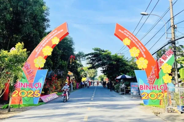 mai vàng - Ảnh 2.