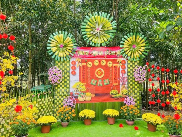 mai vàng - Ảnh 3.