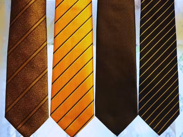 Neckties and Scarves