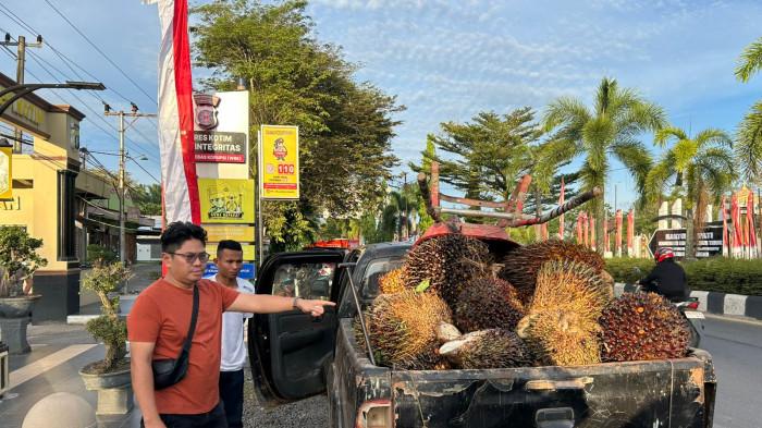 PENGAMANAN BARBUK - diduga pencuri sawit di perkebunan sawit PT Mulia Agro Permai (MAP) Barat, Desa Penyang, Kecamatan Telawang, Kabupaten Kotawaringin Timur (Kotim) yang berhasil di amankan, Selasa (13/1/2026).