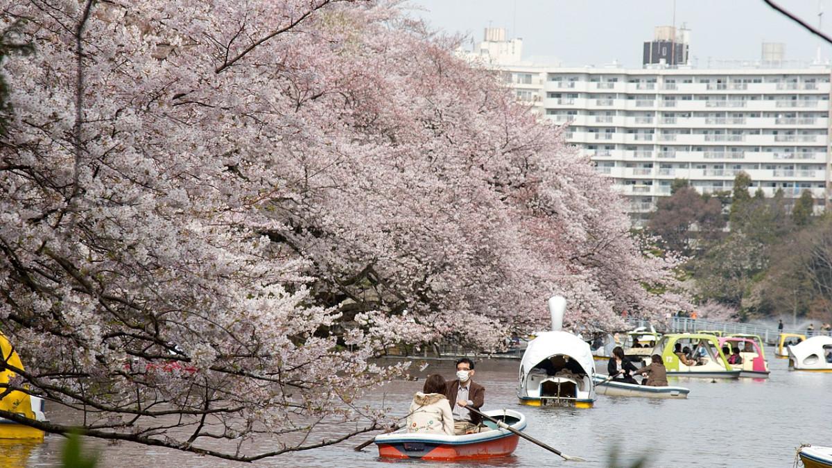 Inokashira Park, satu tempat wisata hits di Kichijoji, Tokyo, Jepang