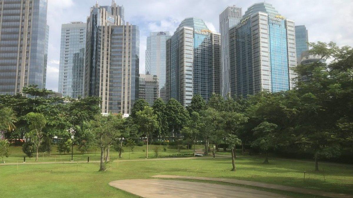 Hutan Kota GBK, satu tempat jogging di Jakarta Pusat yang cocok untuk kamu yang ingin olahraga setelah jam kerja.