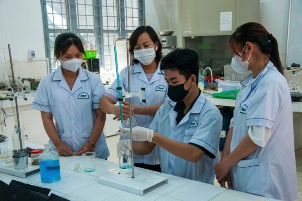 nghiên cứu - Ảnh 2.