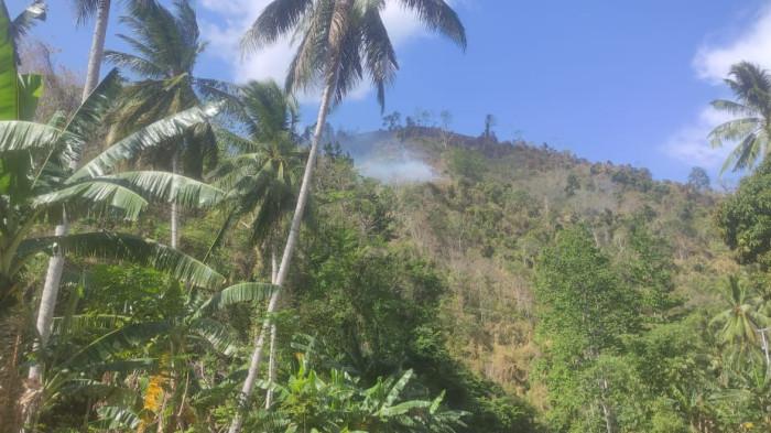 TRC BPBD Parigi Moutong Lakukan Asesmen Awal Kebakaran Hutan di Ambason Mekar
