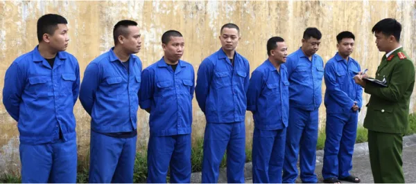 cá độ - Ảnh 1.