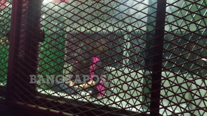 DI MOBIL TAHANAN -- Aditya Rizki Pradana ketika berada di dalam mobil tahanan Kejaksaan Negeri Bangka Selatan, Rabu (14/1/2026) malam. Aditya Rizki Pradana resmi ditetapkan sebagai tersangka tindak pidana korupsi SP3AT fiktif.