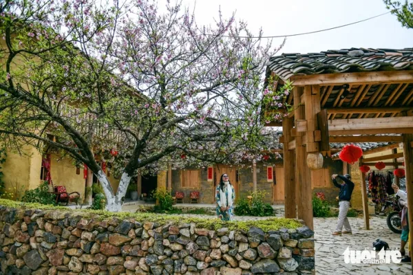 lô lô chải - Ảnh 3.