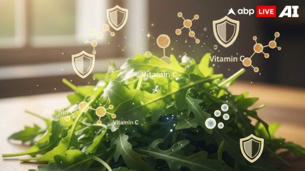 (Image Source: ABPLIVE AI)