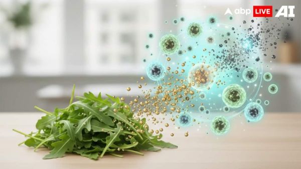 (Image Source: ABPLIVE AI)