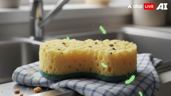 (Image Source: ABPLIVE AI)