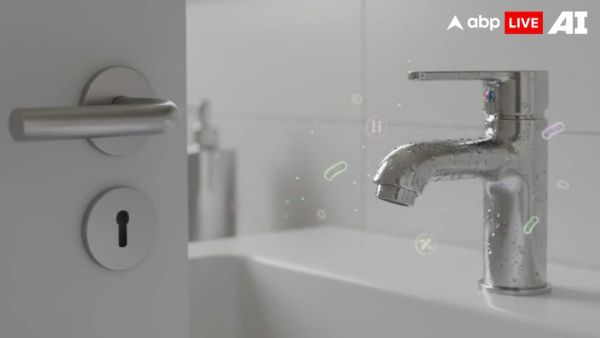 (Image Source: ABPLIVE AI)