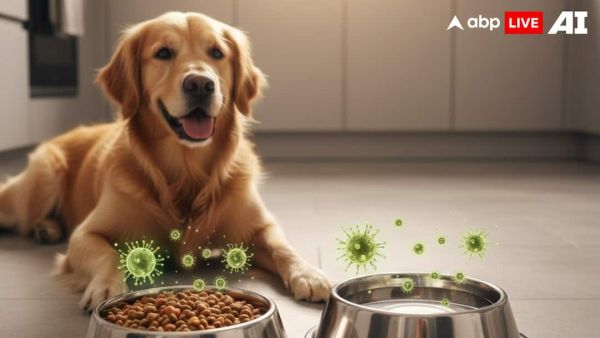 (Image Source: ABPLIVE AI)