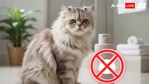 (Image Source: ABPLIVE AI)