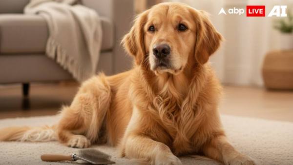 (Image Source: ABPLIVE AI)
