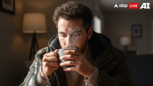 (Image Source: ABPLIVE AI)