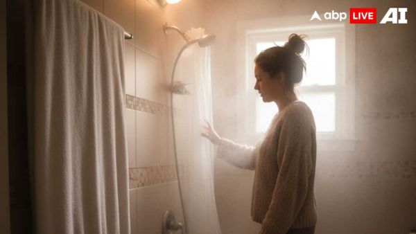(Image Source: ABPLIVE AI)