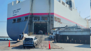 Maruti Suzuki Victoris export