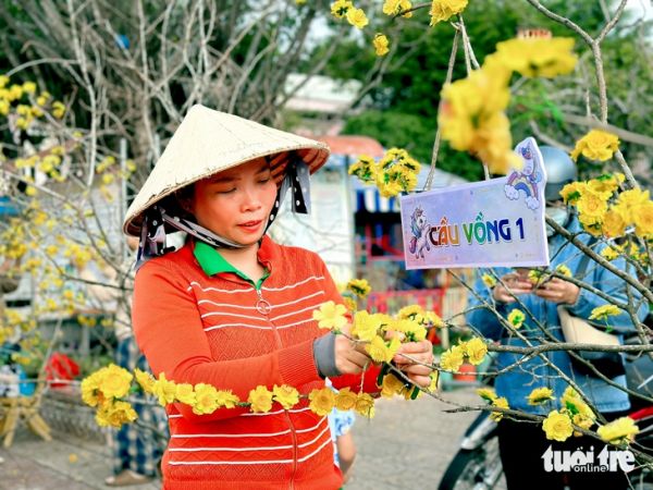 Trường mầm non vui như hội với hàng mai, anh đào rực rỡ đón Tết - Ảnh 2.