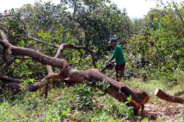 Chính phủ giao nghiên cứu đề xuất làm cao tốc Gia Nghĩa - Chơn Thành từ BOT sang BT - Ảnh 1.