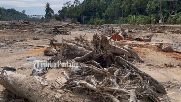 SURAU HANYUT PADANG: Banjir bandang akhir November 2025 lalu menghanyutkan Surau Jamiaturrahmah di Kelurahan Lambung Bukik, Kecamatan Pauh, Kota Padang. Saat TribunPadang.com berkunjung Selasa (20/1/2026) terlihat sisa material banjir seperti kayu dan batu masih berserakan.