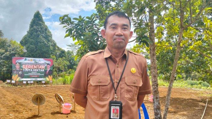 TANTANGAN KEMANDIRIAN PANGAN - Kepala DPPP Tana Tidung, Rudi saat ditemui di lahan kelompok tani suka maju Jl Trans Kaltara, Desa Tideng Pale, Kecamatan Sesayap, Kabupaten Tana Tidung, Kaltara, Selasa (21/1/2025). Ia membeberkan 6 tantangan kemandirian pangan di Tana Tidung, mulai dari ketergantungan pasokan luar daerah hingga rendahnya produktivitas lahan, Rabu (21/1/2026).