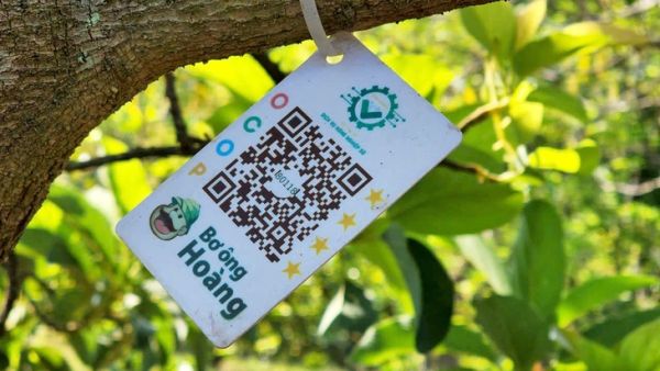 quê hương - Ảnh 2.