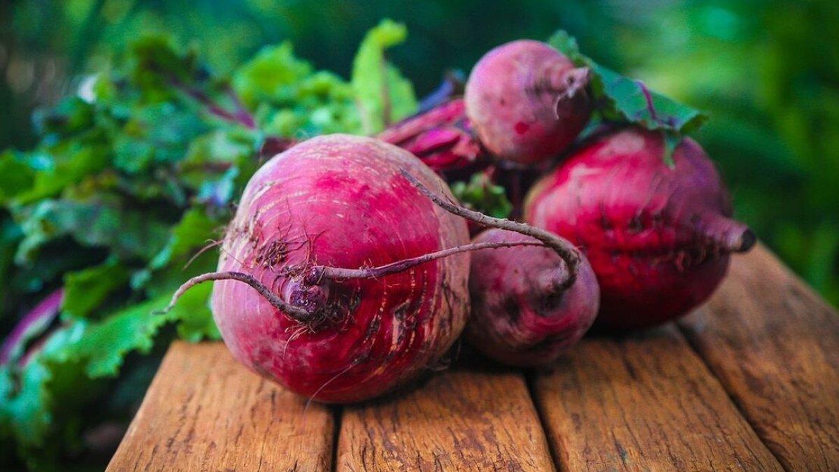 ilustrasi buah bit yang bermanfaat untuk kesehatan