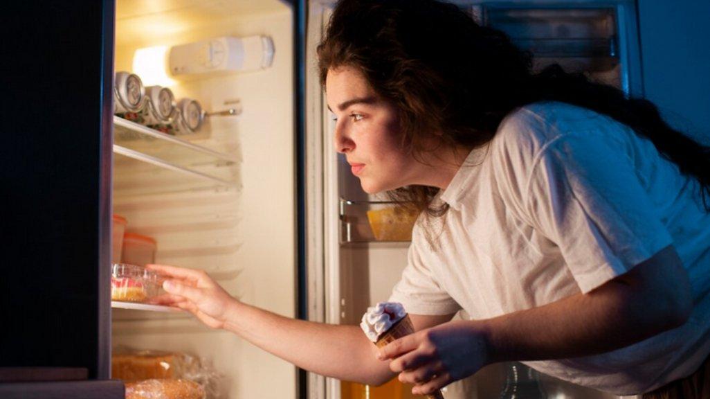 Ilustrasi penggunaan kulkas.