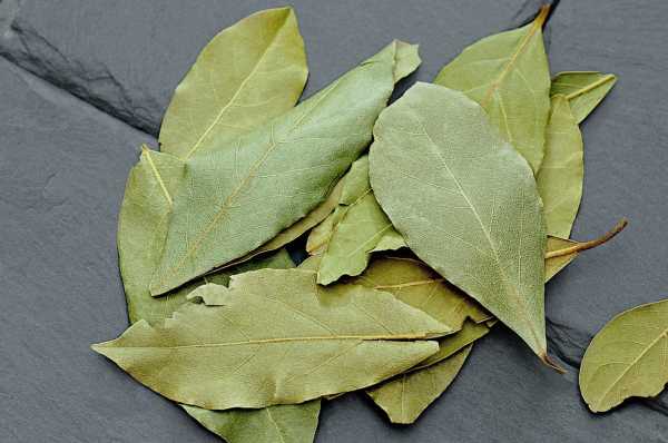 bay leaves