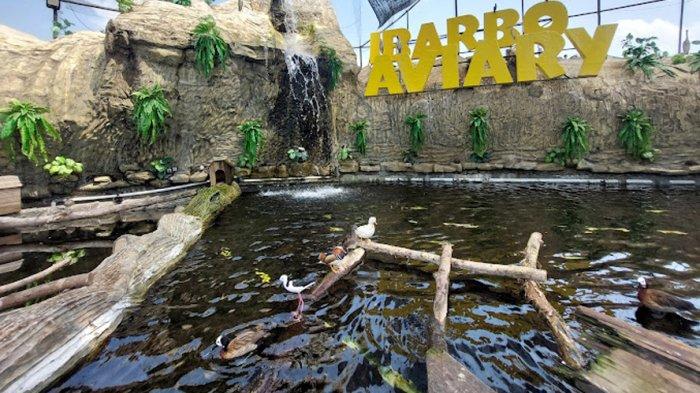 Ibarbo Park memiliki area aviary atau kandang burung raksasa yang diklaim sebagai salah satu yang terbesar di Indonesia.