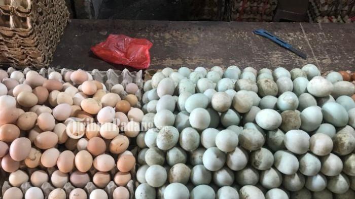 Pedagang telur, Ferdi mengatakan harga s per papan.