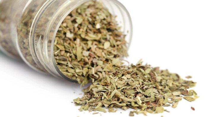 Ilustrasi oregano, salah satu herbal dan rempah yang bagus untuk meningkatkan kesehatan
