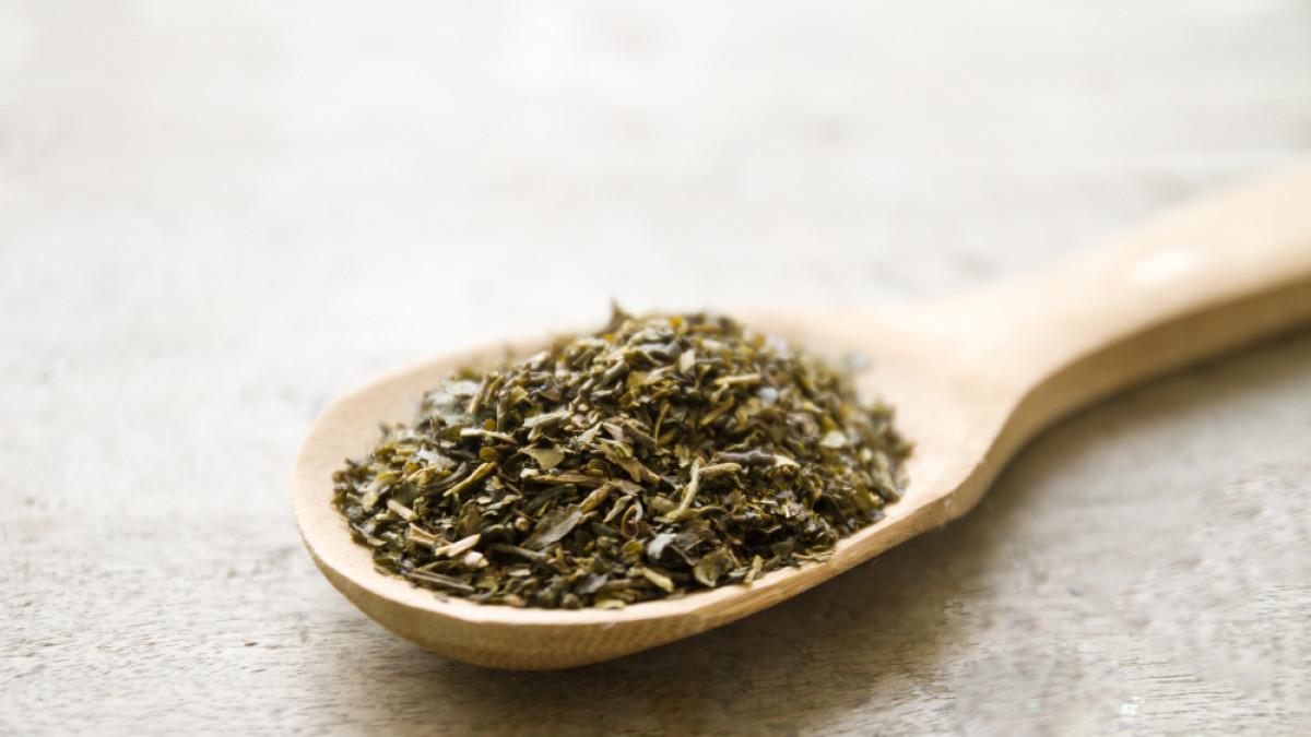 Ilustrasi oregano, rempah dan tanaman herbal yang bagus untuk kesehatan