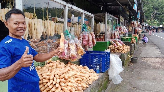 UBI CILEMBU - Adang Sujayadi (52), koordinator pedagang ubi cilembu di kawasan Cadas Pangeran, Sumedang, saat ditemui TribunJabar.id, di lapaknya, Sabtu (29/3/2025) sore. Pedagang merasakan imbas dibukanya Tol Cisumdawu sehingga pembeli sepi.