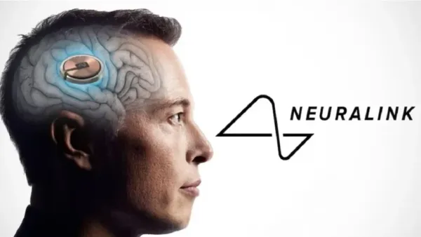 Neuralink Brain Chip Neuralink Brain Chip