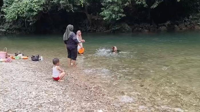 DAYA TARIK - Ribuan ikan mendekati pengunjung saat diberi makan di Tane Olen, Setulang, Kabupaten Malinau. Kebijakan ekowisata ini menjadi pendongkrak jumlah wisatawan tiap tahun. (TRIBUNKALTARA.COM / MOHAMMAD SUPRI)