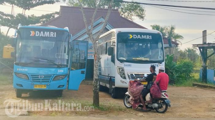 JADWAL KEBERANGKATAN DAMRI- - Bus Damri rute KTT - Tanjung Selor akan berangkat melalui terminal di Jalan Perintis, Tideng Pale, Kecamatan Sesayap, KTT, Kaltara, Senin (26/1/2026). Jadwal keberangkatan Damri akan berlangsung pagi hari. (TribunKaltara.com / Rismayanti)
