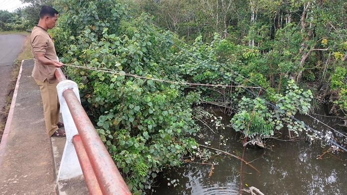 20260126 memancing keberadaan buaya