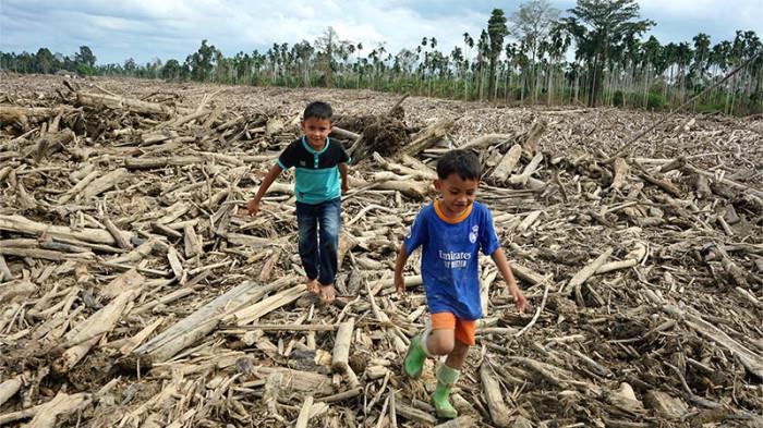 BERJALAN DITUMPUKAN KAYU - Anak-anak berjalan ditumpukan kayu gelondongan, di Gampong Geudumbak, Kecamatan Langkahan, Kabupaten Aceh Utara, Senin (29/12/2025). (TribunGayo.com/Bustami)
