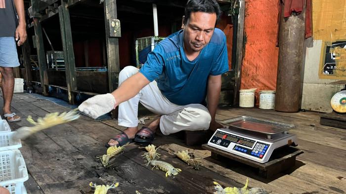 TANGKAPAN LAUT - Hasil tangkapan laut dari nelayan di Kampung Laut, Kelurahan Tanjung Solok