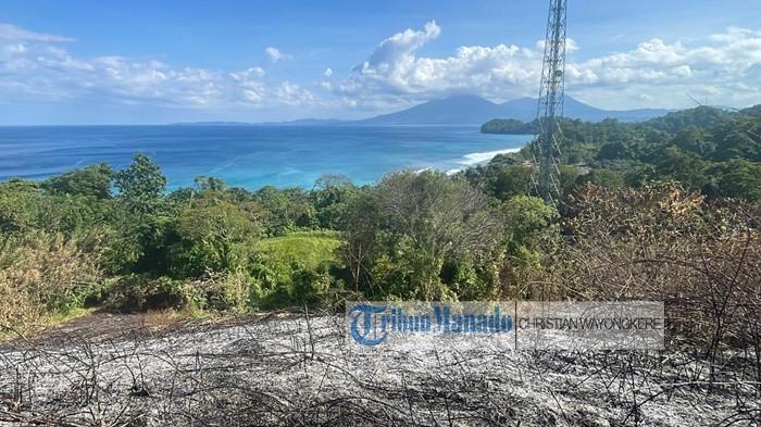 Kondisi terkini bukit, puncak Larata di Desa Kinunang Kecamatan Likupang Timur, csfjs