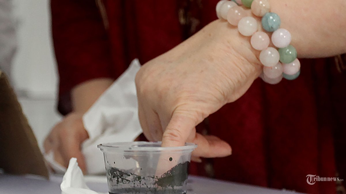 Suasana pemungutan suara ulang (PSU) Pemilu 2024 yang dihadiri sejumlah warga di Tempat Pemungutan Suara (TPS) 43, Menteng, Jakarta Pusat, Sabtu (24/2/2024). PSU di TPS 43 hanya untuk Pemilihan DPR RI, DPD dan DPRD, untuk pemilihan jenis surat suara PPWP (pemilu presiden dan wakil presiden) tidak diulang karena sudah sesuai. Tribunnews/Jeprima