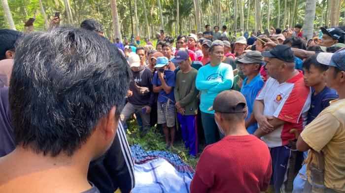 MAYAT KARYAWAN-  Karyawan koperasi PNM BUMN ditemukan tewas tak wajar di dalam kebun kelapa miliki warga di Desa Sarjo, Kecamatan Sarjo, Kabupaten Pasangkayu, Sulawesi Barat (Sulbar), Sabtu (20/9/2025) pagi.