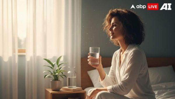 (Image Source: ABPLIVE AI)