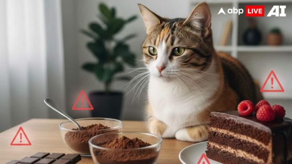 (Image Source: ABPLIVE AI)