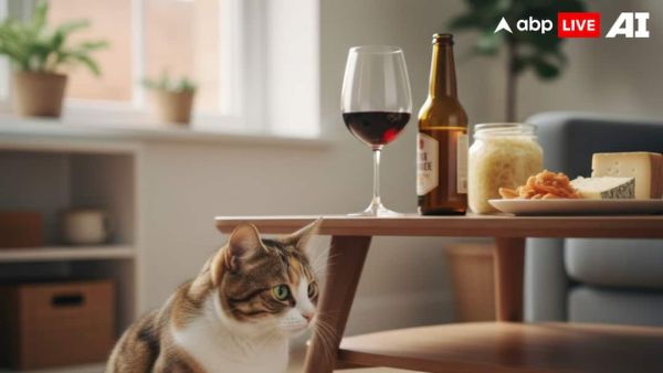 (Image Source: ABPLIVE AI)