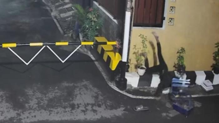 MALING APES - Tangkapan layar CCTV memperlihatkan aksi pencurian burung trucukan yang apes di Jalan Plamongan Permai Raya, Pedurungan Kidul, Kecamatan Pedurungan, Kota Semarang, Rabu (28/1/2026) dini hari. Dalam tayangan tersebut, pelaku terjatuh ke selokan seusai melompat dari tembok sambil membawa sangkar burung curian.